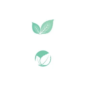 Leaf Mint Logo Template vector symbol Stock Illustration