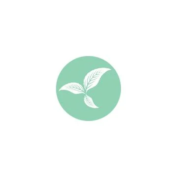 Leaf Mint Logo Template vector symbol Stock Illustration