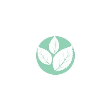 Leaf Mint Logo Template vector symbol Stock Illustration