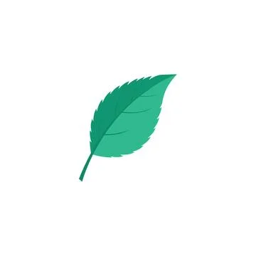 Leaf Mint Logo Template vector symbol Stock Illustration