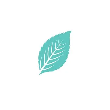 Leaf Mint Logo Template vector symbol Stock Illustration