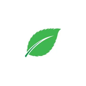 Leaf Mint Logo Template vector symbol Stock Illustration