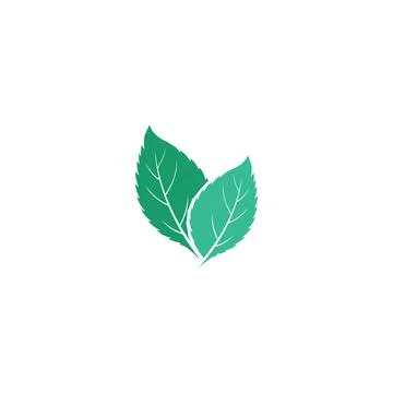 Leaf Mint Logo Template vector symbol Illustrazione stock