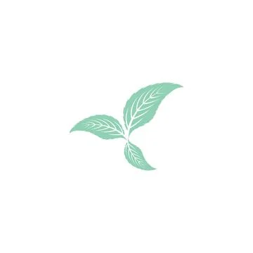 Leaf Mint Logo Template vector symbol Stock Illustration