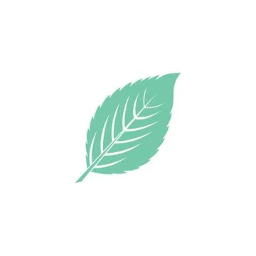 Leaf Mint Logo Template vector symbol Stock Illustration