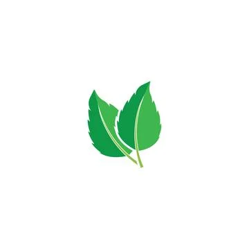 Leaf Mint Logo Template vector symbol Stock Illustration