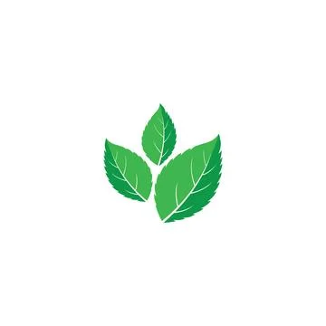 Leaf Mint Logo Template vector symbol Illustrazione stock