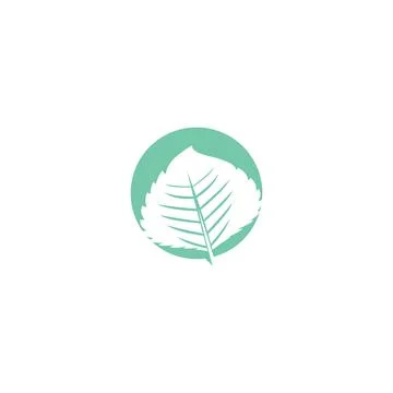 Leaf Mint Logo Template vector symbol Stock Illustration