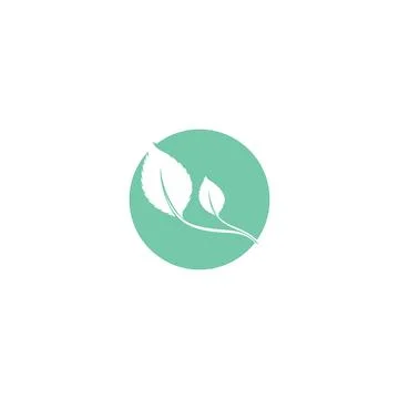 Leaf Mint Logo Template vector symbol Stock Illustration