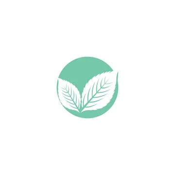 Leaf Mint Logo Template vector symbol Stock Illustration