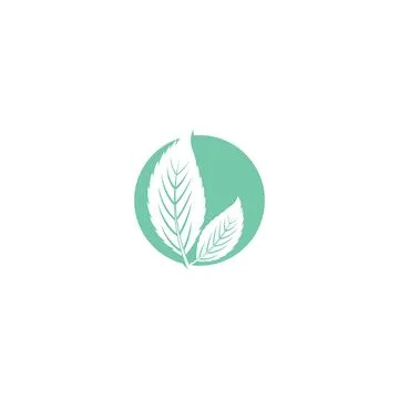 Leaf Mint Logo Template vector symbol Stock Illustration