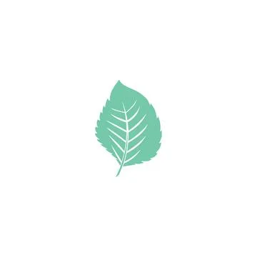 Leaf Mint Logo Template vector symbol Illustrazione stock
