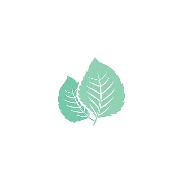 Leaf Mint Logo Template vector symbol Stock Illustration