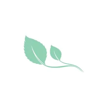 Leaf Mint Logo Template vector symbol Stock Illustration