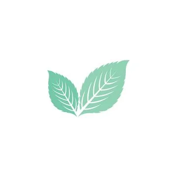 Leaf Mint Logo Template vector symbol Stock Illustration