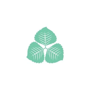 Leaf Mint Logo Template vector symbol Stock Illustration