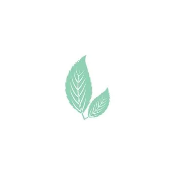 Leaf Mint Logo Template vector symbol Stock Illustration