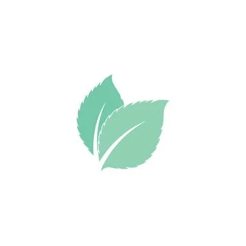 Leaf Mint Logo Template vector symbol Stock Illustration