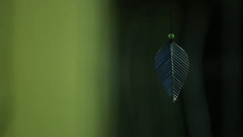 Leaf mobile. Stock Footage 147321289