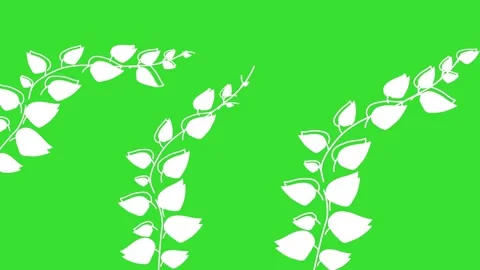 Leaf Motion Animation. Flowing Green Plant Leaves on Green Screen Background. Stock Footage 313595189