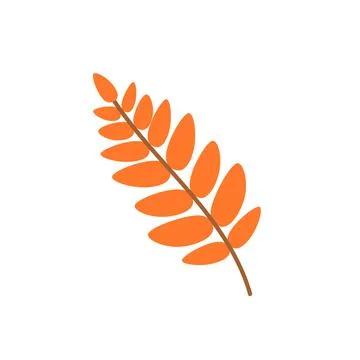 Leaf of a mountain ash. A fallen Rowan leaf. Flat vector illustration Stock Illustration