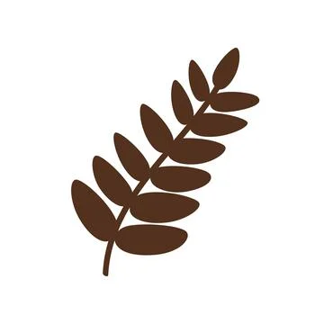 Leaf of a mountain ash. Vector illustration Stock Illustration