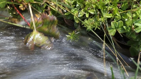 Leaf is moved by the fast water in a mountain torrent Stock-Footage 112751578