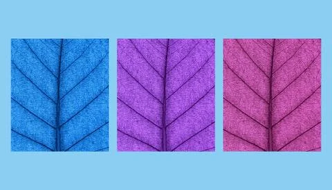 Leaf natural background concept abstract colored 3d rendering Illustrazione stock