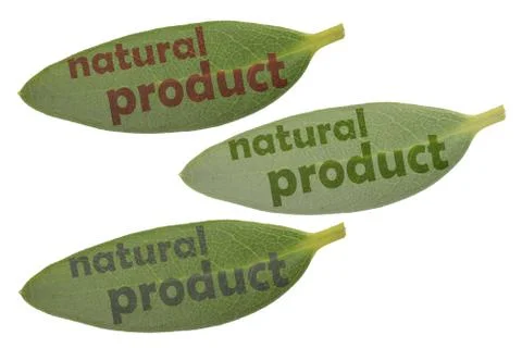 Leaf natural product set Stock Photos