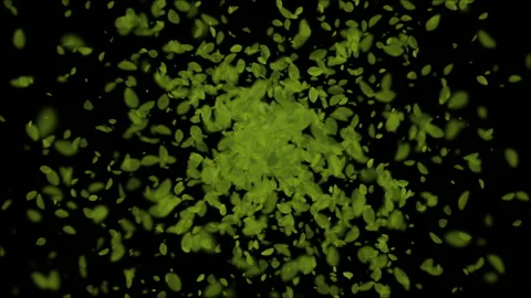 Leaf nature abstract particle animation Stock Footage 147580415