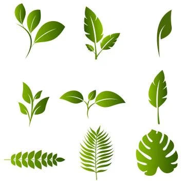 Leaf nature Design Set Vector Stock Illustration