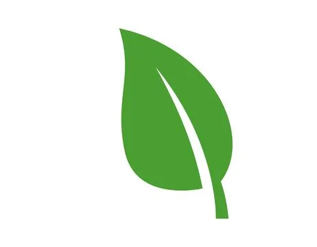 Leaf nature eco icon. Vector flat illustration of a wide single green leaf .. Stock Illustration