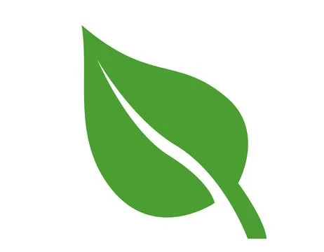 Leaf nature eco icon. Vector flat illustration of a wide single green leaf is Stock Illustration