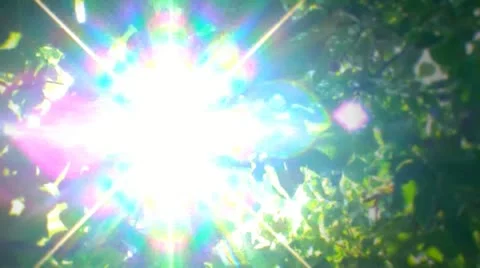 Leaf naturel environment[ COLLECTION 24 ] ( Series 7 - Version from 1 to 12 ) Stock Footage 18087998