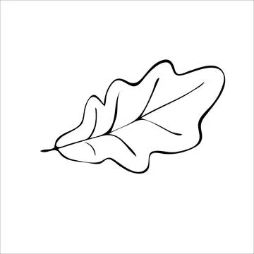 Leaf oak tree vector art illustration icon Stock Illustration