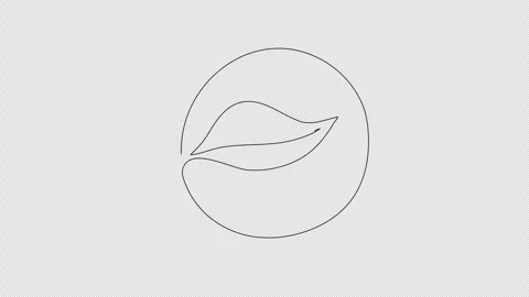 Leaf. One line drawing animation. Video clip with alpha channel. Stock Footage 278184934