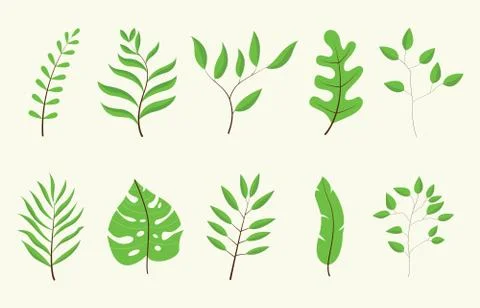 Leaf or leaves green tree set collection with white color vector Stock Illustration