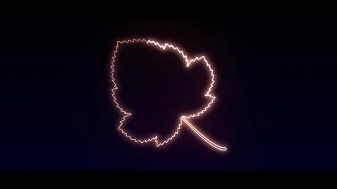 Leaf orange in highlight and glow effect mp4 video Stock Illustration