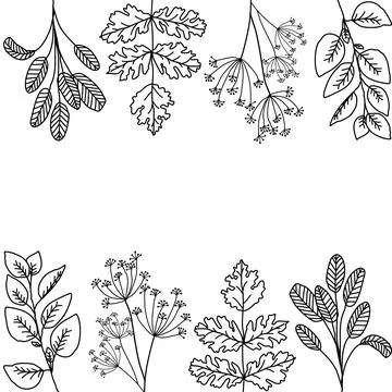 Leaf Outline Background Vector Stock Illustration