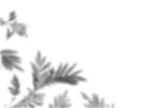 Leaf overlay shadow on white texture background. Perfect for decorative produ Stock Photos