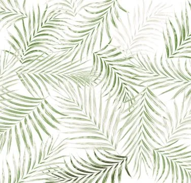 Leaf of palm tree background Stock Photos