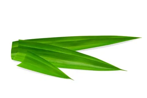 Leaf Pandan isolated on white background ,Green leaves pattern ,include cli.. Stock Photos