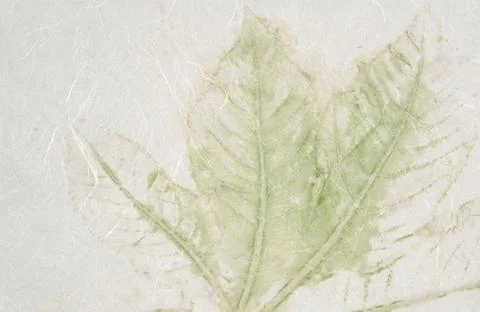 Leaf paper Foto stock