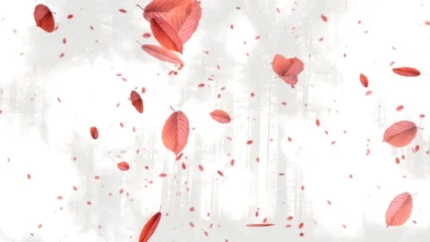 Leaf Particle   , leaves falling 스톡 동영상 98000919
