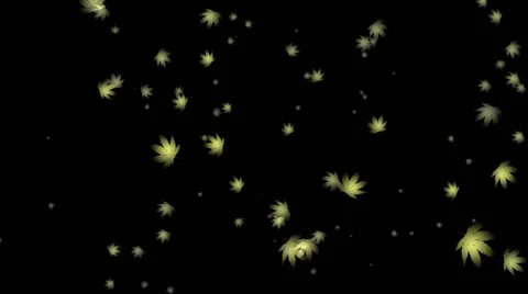 Leaf Particles on black Background: Loop + Matte Stock Footage 68791366