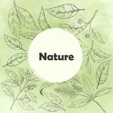 Leaf pattern. Hand drawn leaves and flowers, botanical found frame, green Stock Illustration