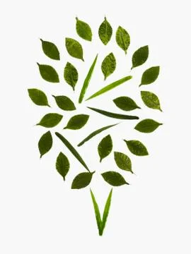 Leaf pattern Stock Photos