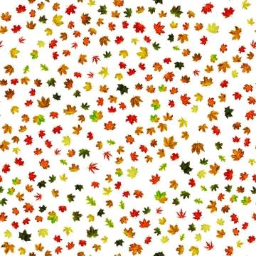 Leaf pattern seamless. Colorful maple foliage. Season leaves fall background. Stock Photos