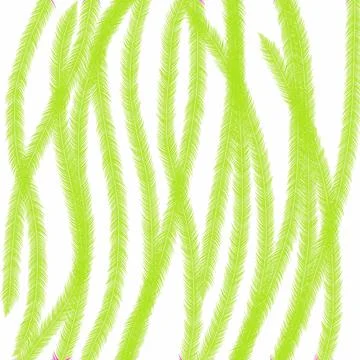 Leaf, pattern, seamless, nature, plant, vector, tree, fern, illustration, leaves イラスト素材