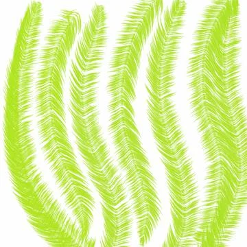 Leaf, pattern, seamless, nature, plant, vector, tree, fern, illustration, leaves イラスト素材